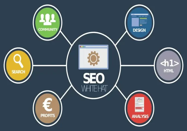Seo Hizmetleri - Şanlıurfa web tasarım, site yaptırma